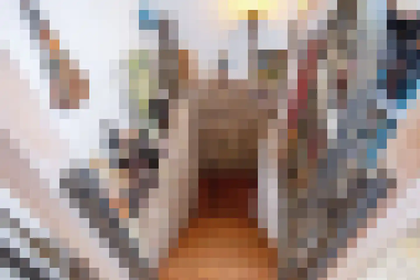Westerweg 29 Den Burg thumbnail 30