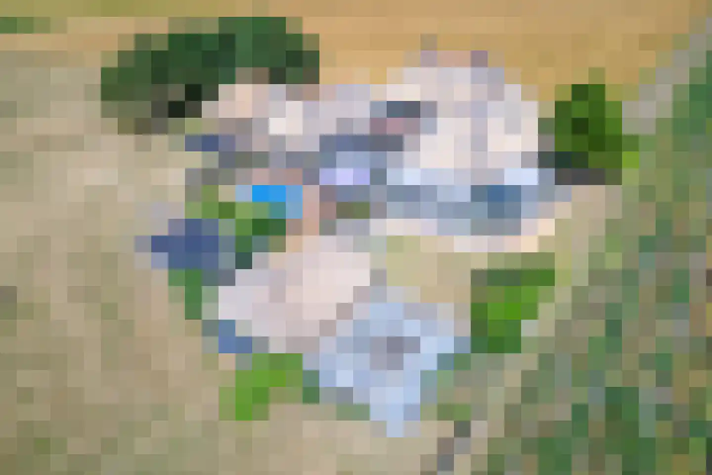 Westerweg 29 Den Burg thumbnail 4