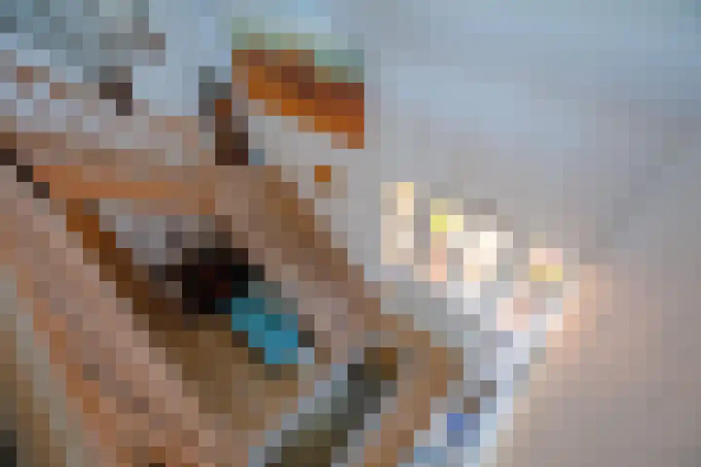 Westerweg 29 Den Burg thumbnail 41