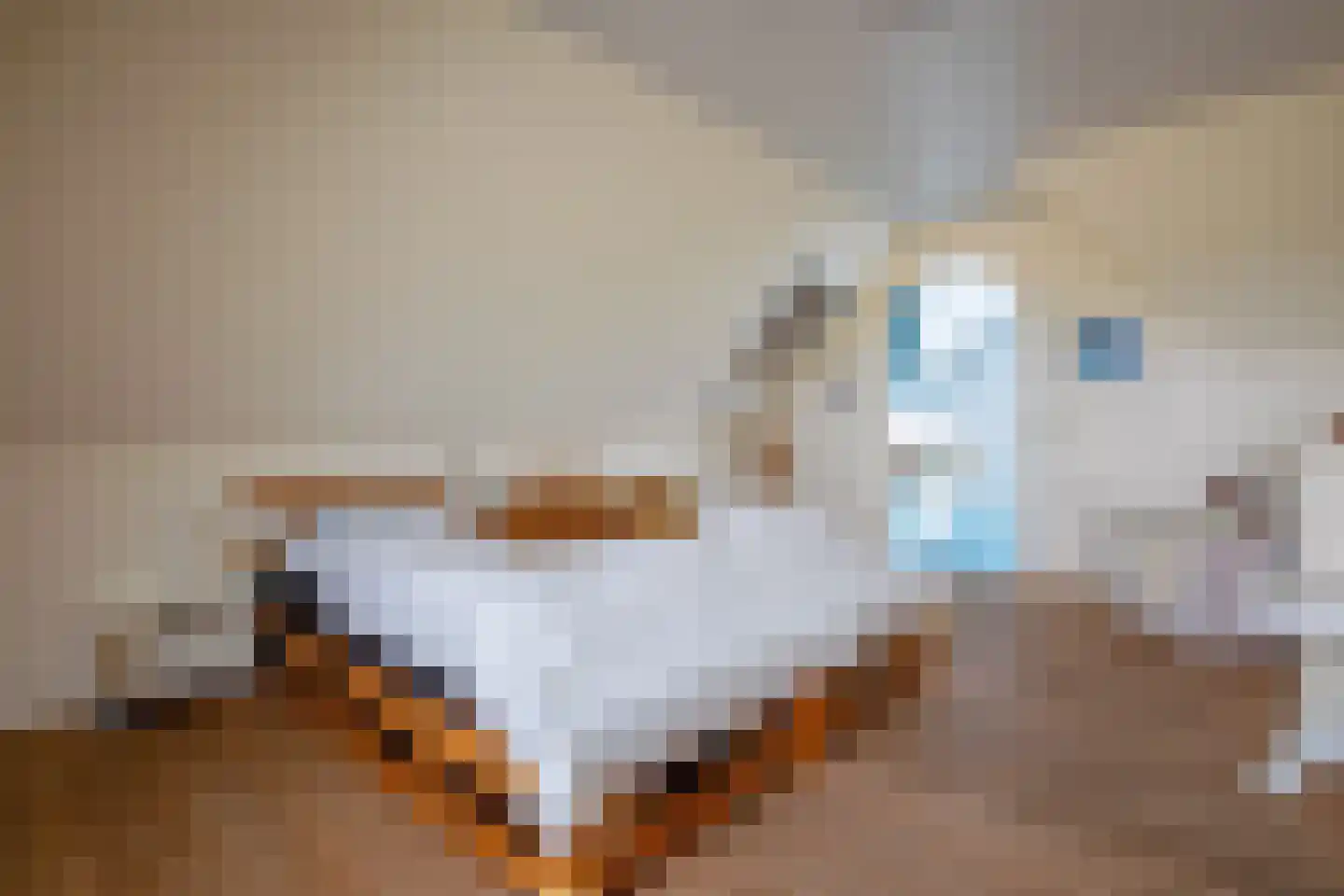 Westerweg 29 Den Burg thumbnail 43