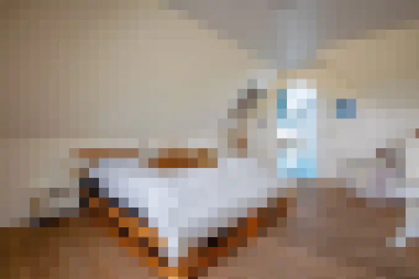 Westerweg 29 Den Burg thumbnail 46