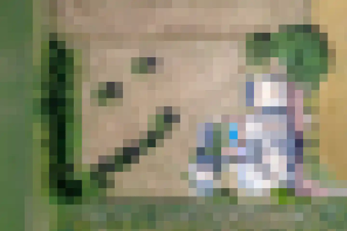 Westerweg 29 Den Burg thumbnail 50
