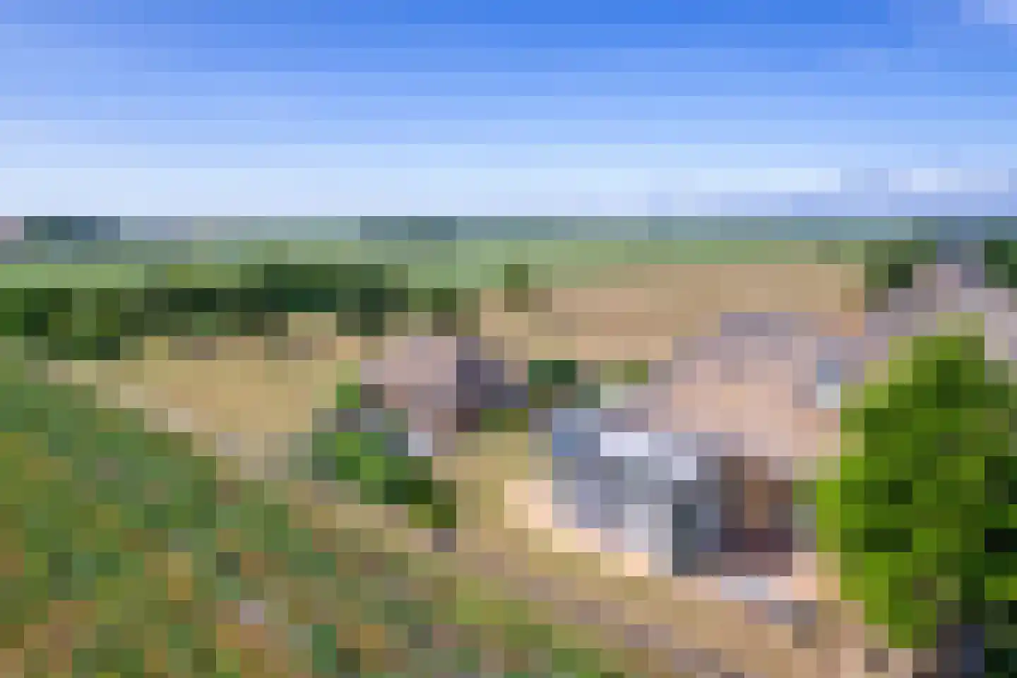 Westerweg 29 Den Burg thumbnail 64
