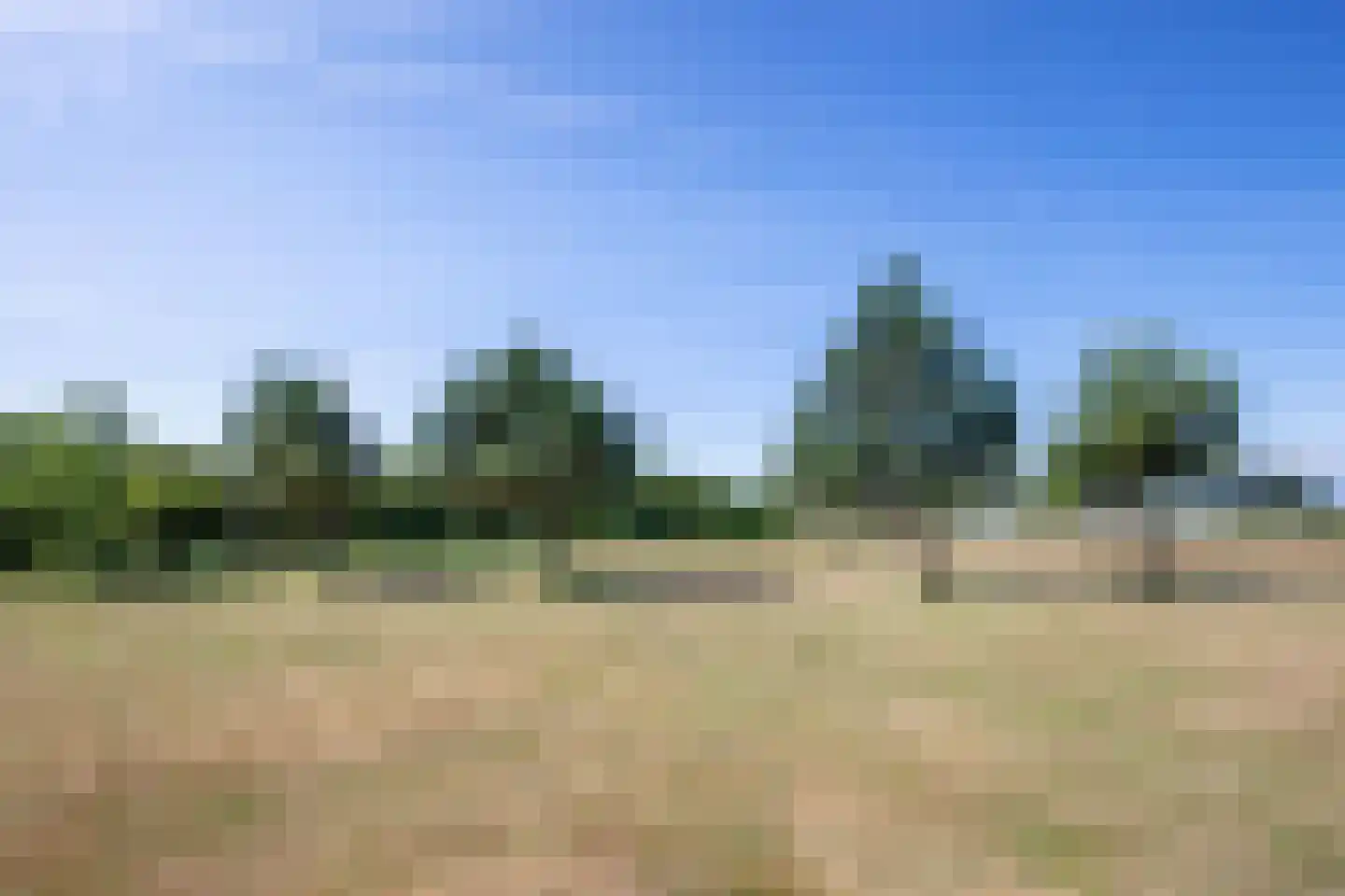 Westerweg 29 Den Burg thumbnail 71