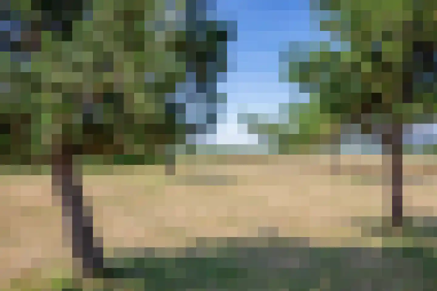 Westerweg 29 Den Burg thumbnail 72