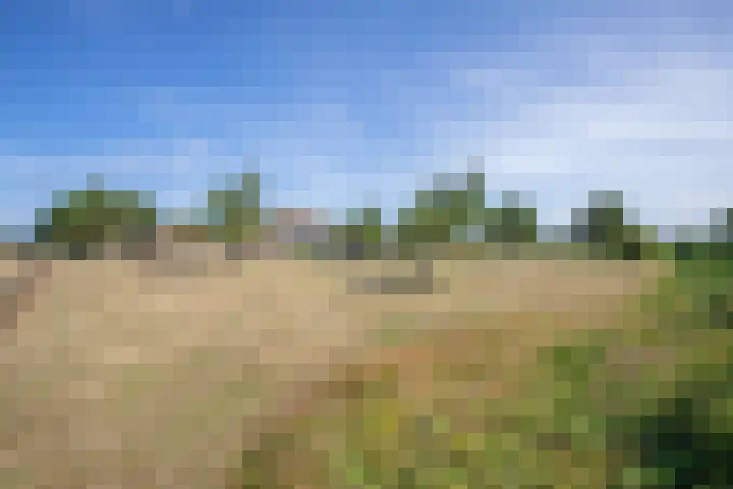 Westerweg 29 Den Burg thumbnail 73