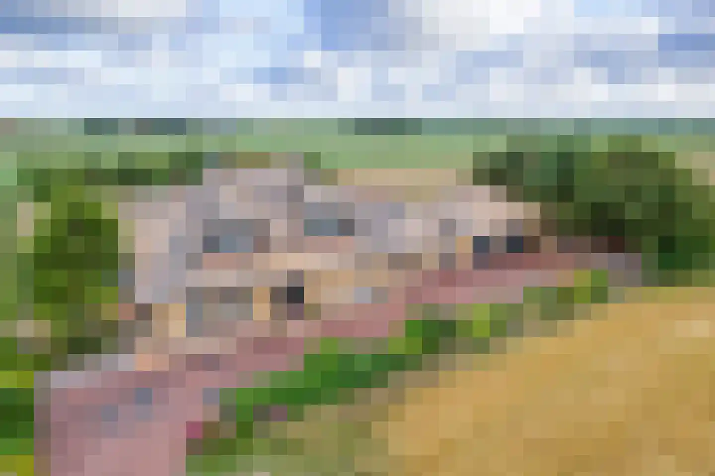 Westerweg 29 Den Burg thumbnail 80