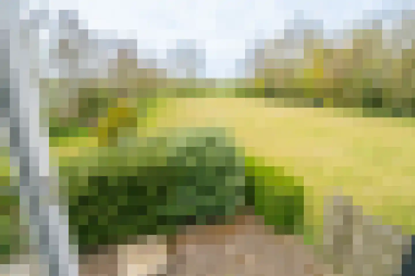 Westerweg 34 Akersloot thumbnail 35