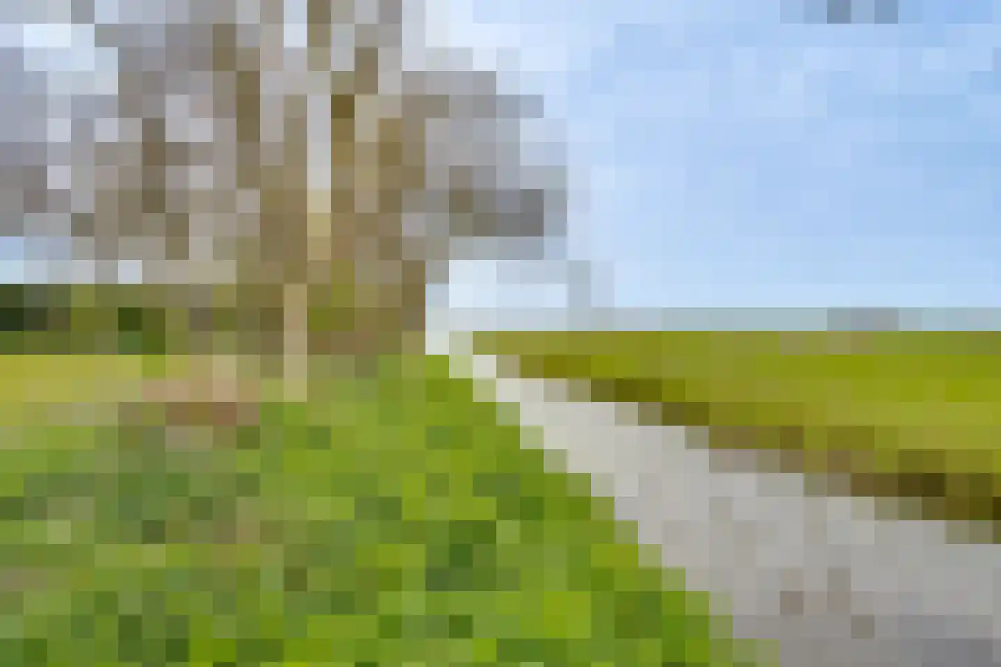 Westerweg 34 Akersloot thumbnail 39