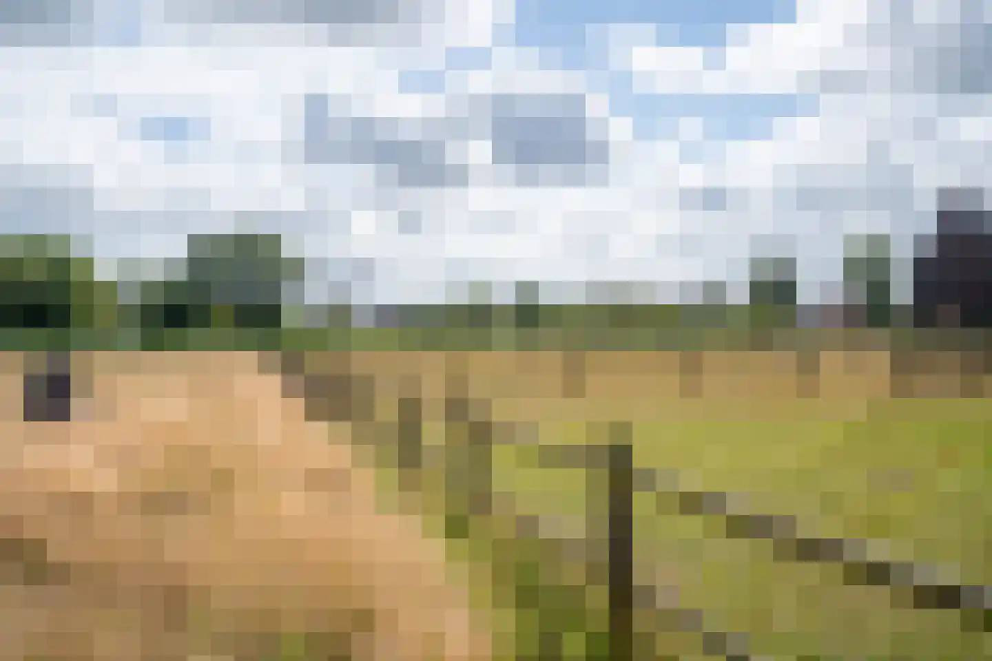 Westerweg 348 Heiloo thumbnail 21