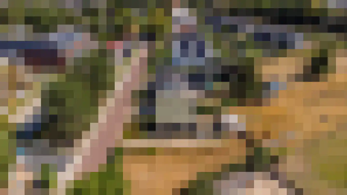 Westerweg 348 Heiloo thumbnail 25