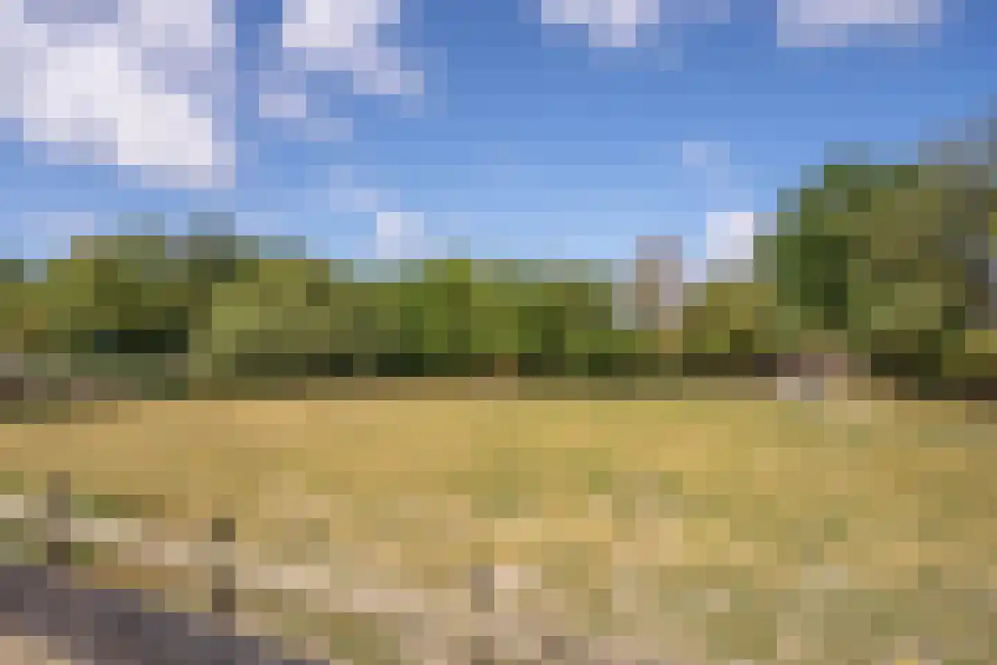 Westerweg 348 Heiloo thumbnail 27