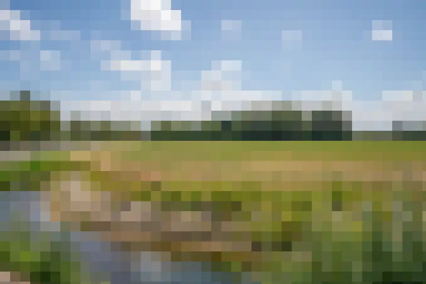Westerweg 348 Heiloo thumbnail 29