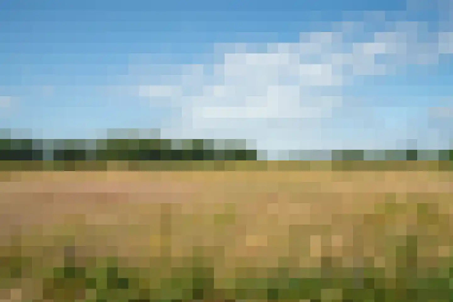 Westerweg 348 Heiloo thumbnail 30