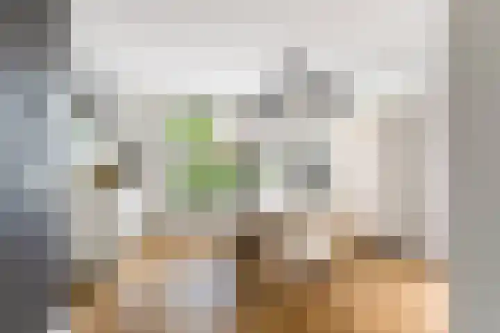 Westerweg 349 Heiloo thumbnail 7