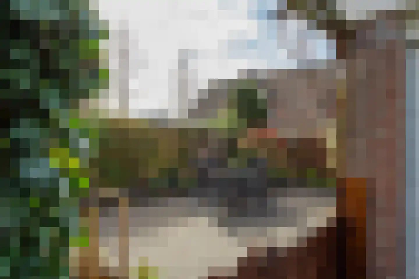 Westerweg 351 Heiloo thumbnail 37
