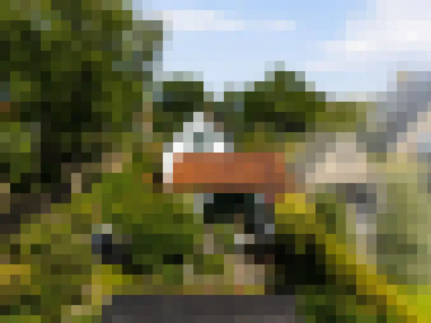 Westerweg 371 Heiloo thumbnail 41