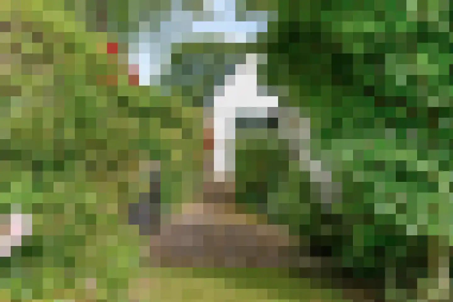 Westerweg 371 Heiloo thumbnail 45