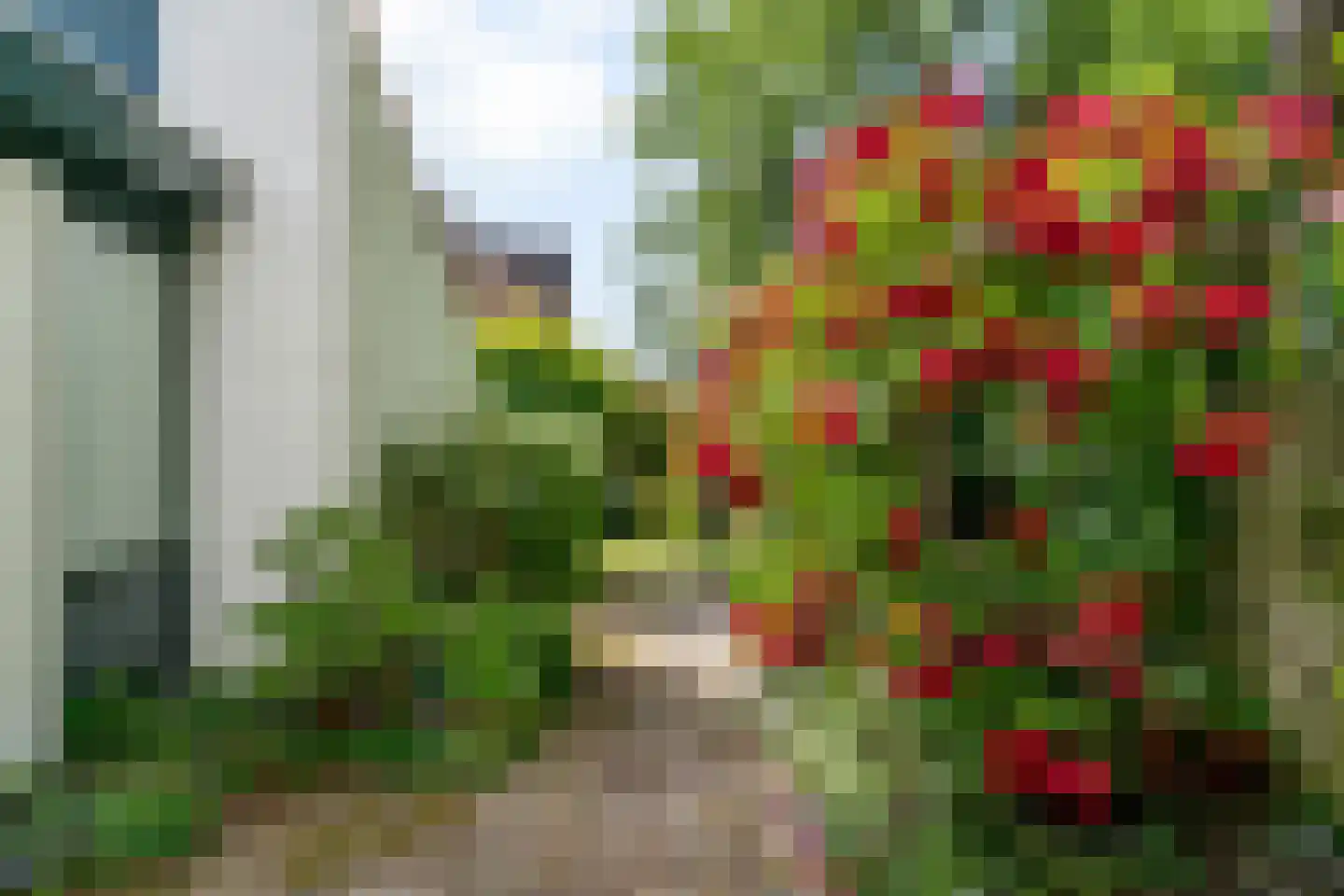 Westerweg 371 Heiloo thumbnail 46