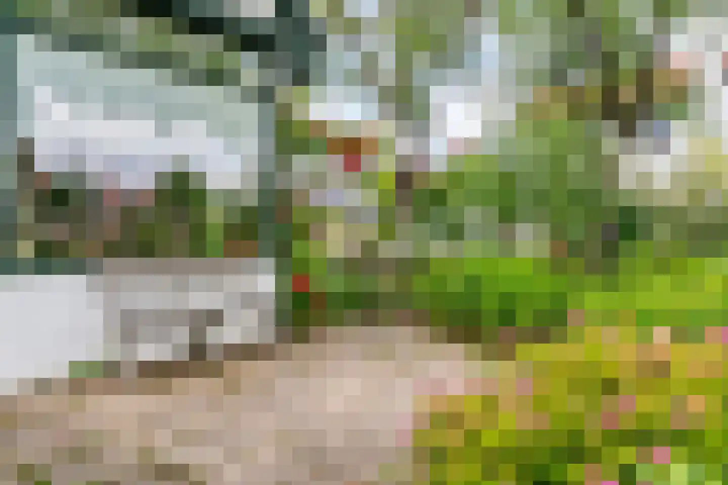 Westerweg 371 Heiloo thumbnail 49
