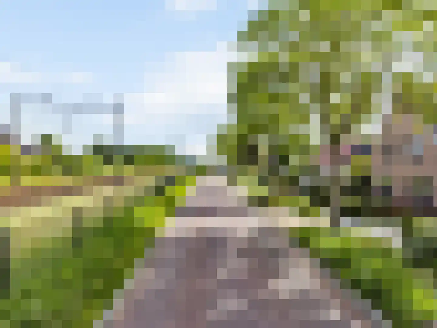 Westerweg 371 Heiloo thumbnail 52