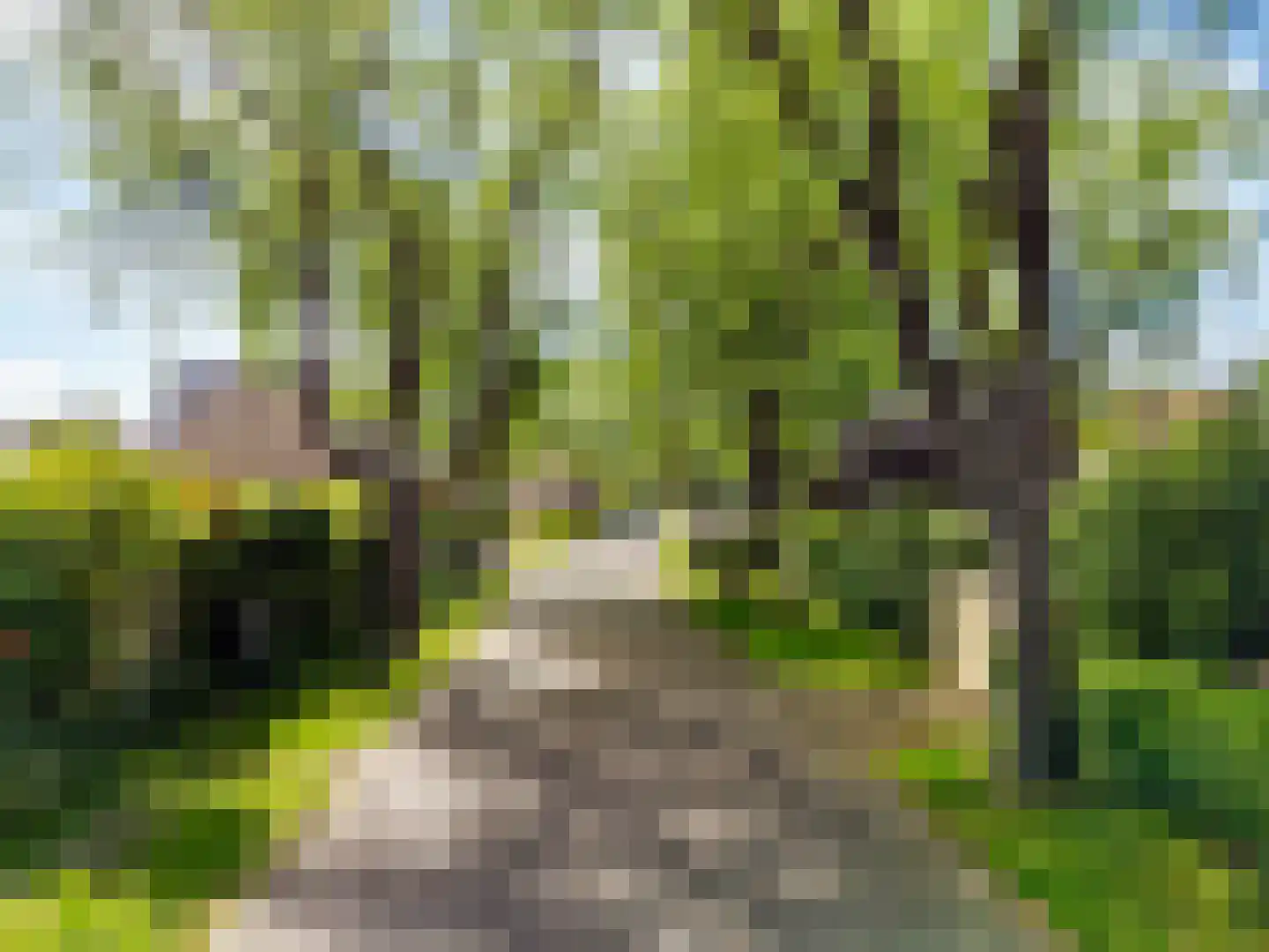 Westerweg 371 Heiloo thumbnail 53