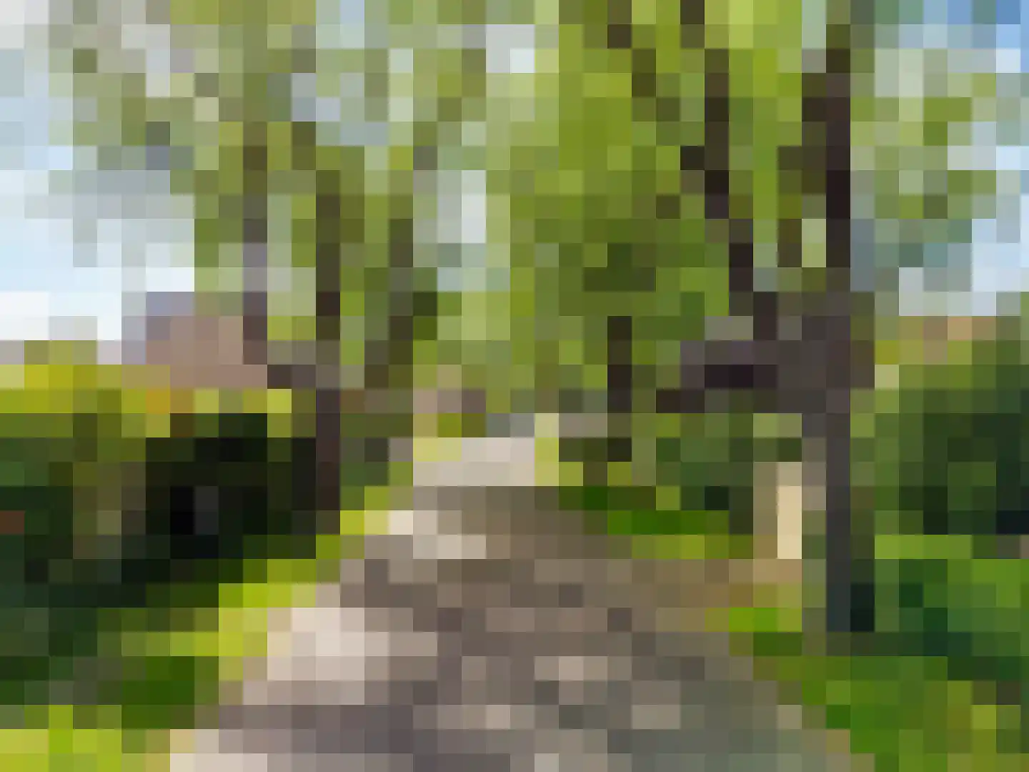 Westerweg 371 Heiloo thumbnail 54