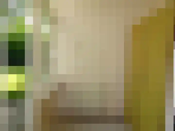 Westerweg 4 Nieuwe Niedorp thumbnail 14