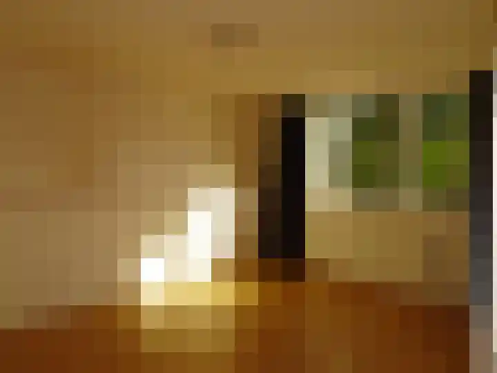 Westerweg 4 Nieuwe Niedorp thumbnail 18