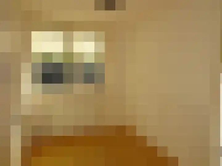 Westerweg 4 Nieuwe Niedorp thumbnail 19
