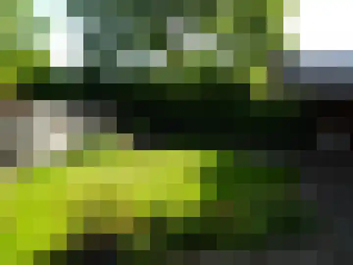 Westerweg 4 Nieuwe Niedorp thumbnail 23