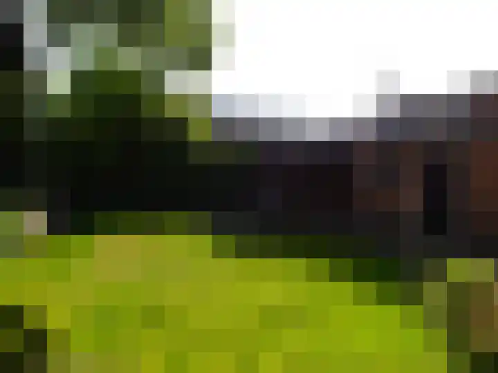 Westerweg 4 Nieuwe Niedorp thumbnail 24