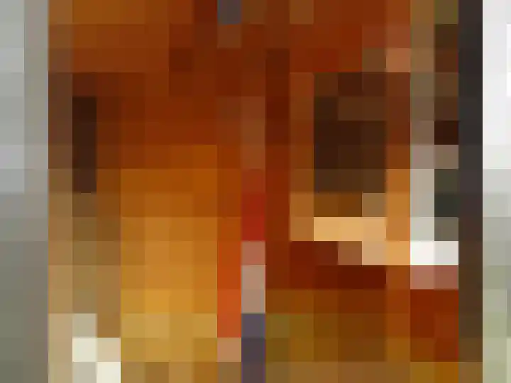 Westerweg 4 Nieuwe Niedorp thumbnail 28