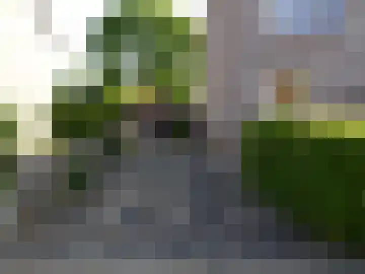 Westerweg 4 Nieuwe Niedorp thumbnail 29