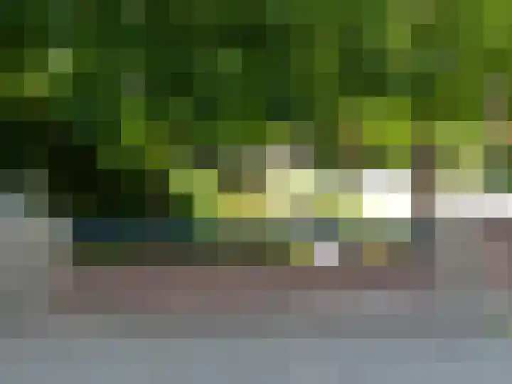 Westerweg 4 Nieuwe Niedorp thumbnail 32