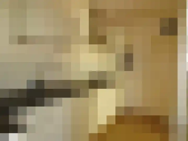 Westerweg 4 Nieuwe Niedorp thumbnail 9