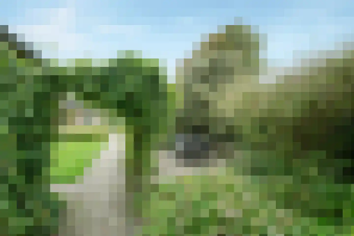 Westerweg 417 Heiloo thumbnail 43