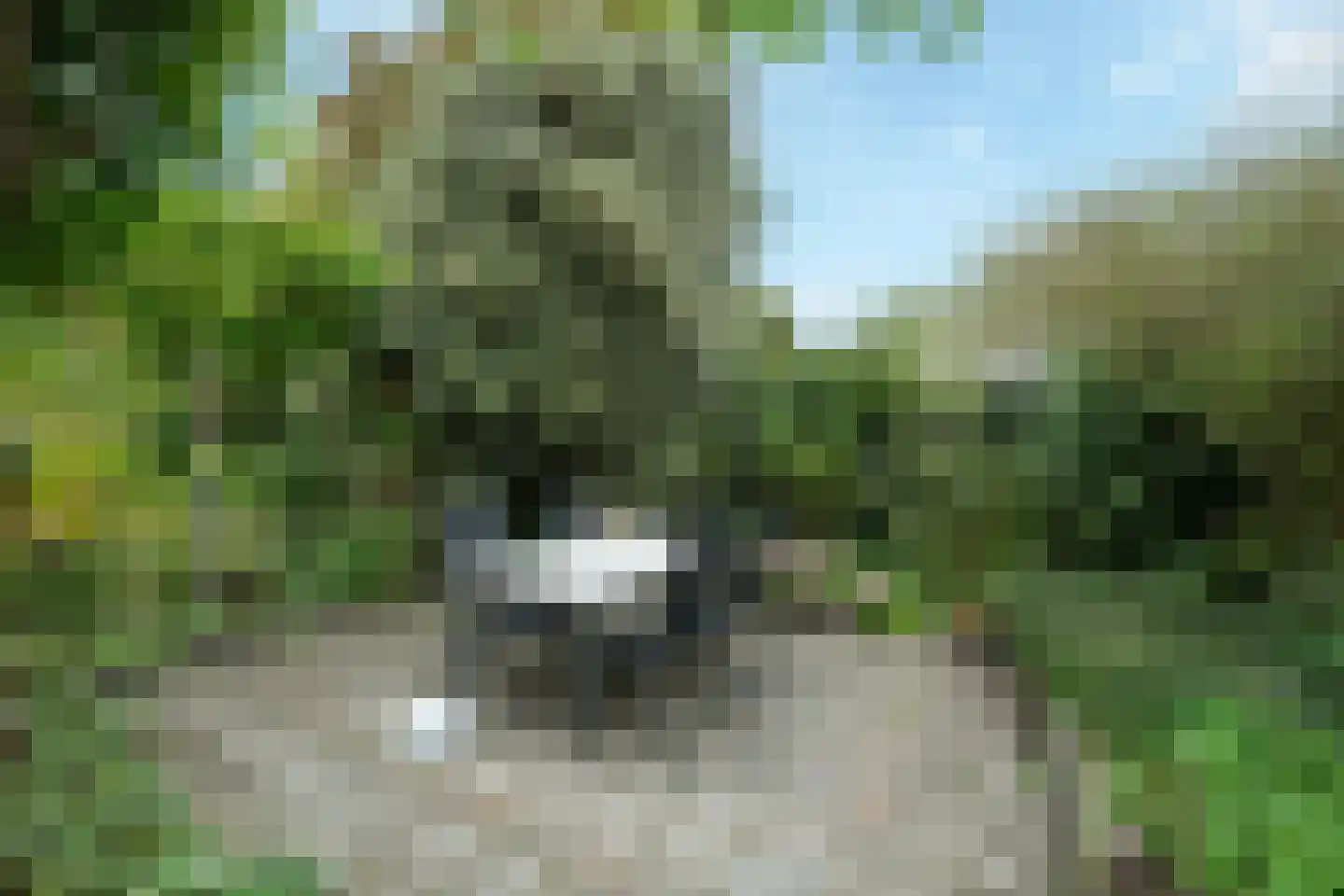 Westerweg 417 Heiloo thumbnail 44