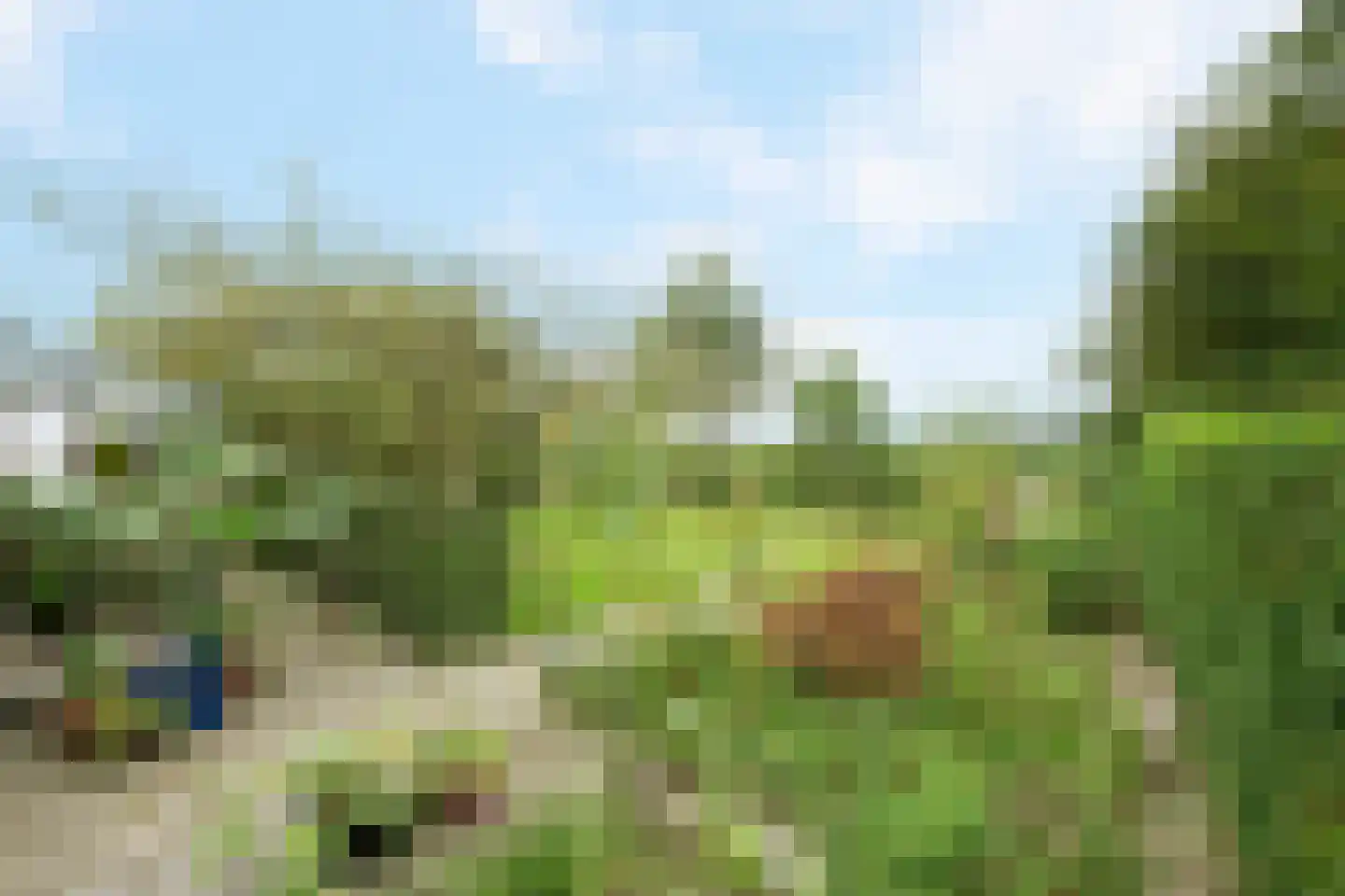 Westerweg 417 Heiloo thumbnail 46