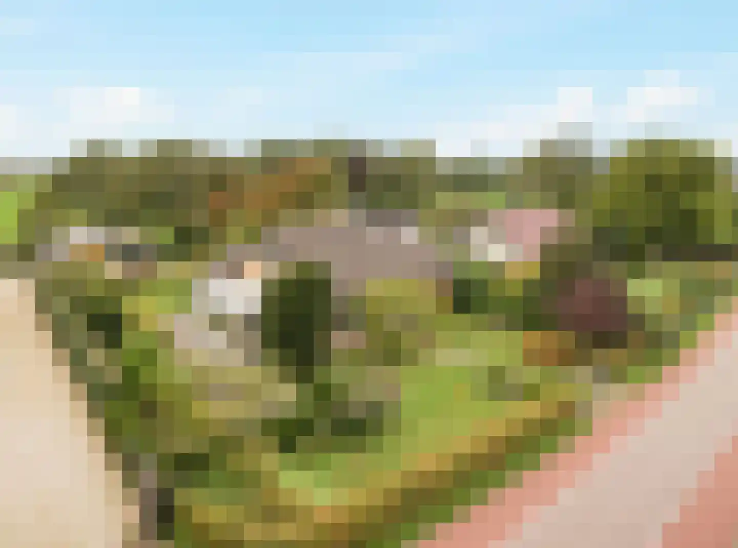 Westerweg 417 Heiloo thumbnail 5