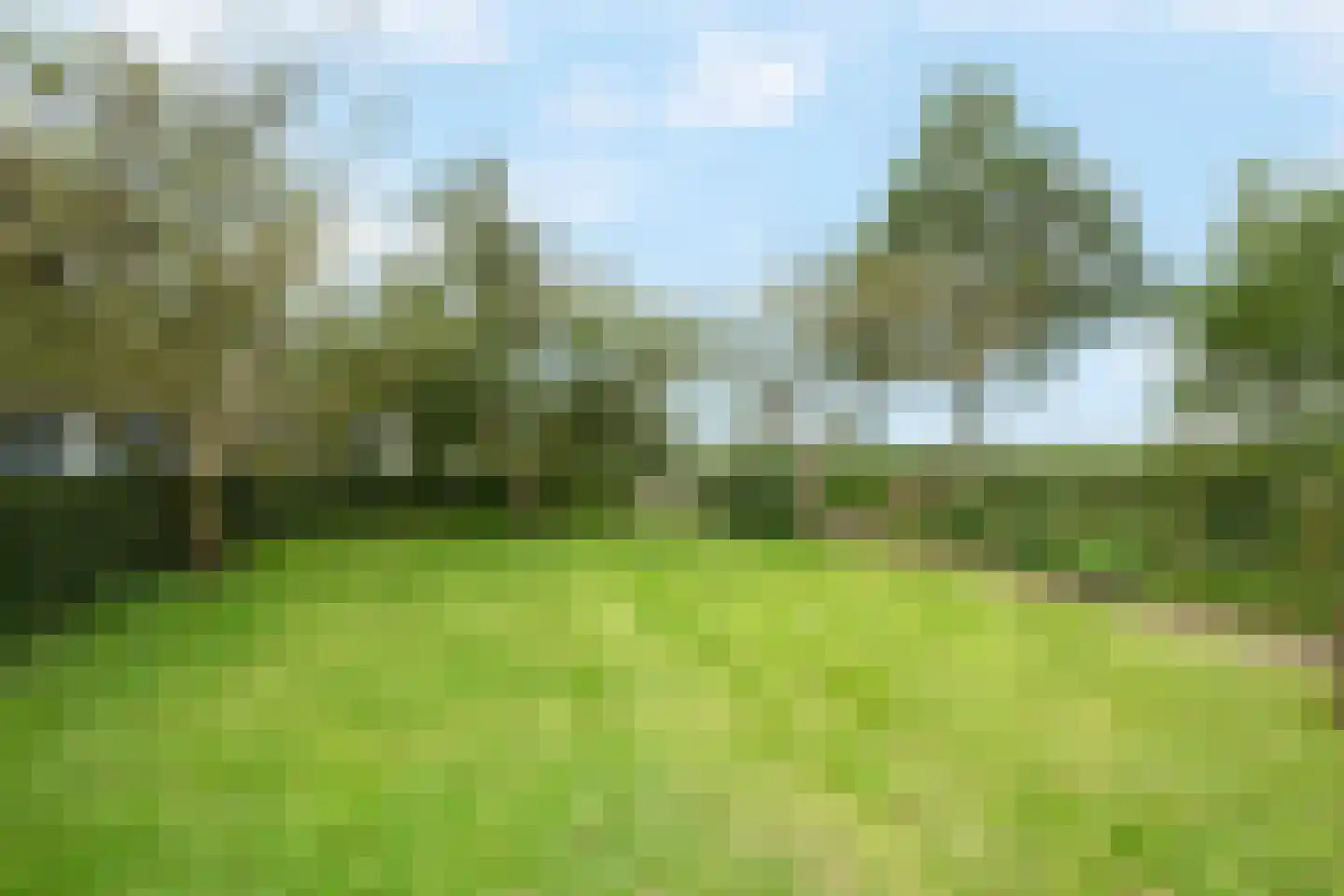 Westerweg 417 Heiloo thumbnail 7