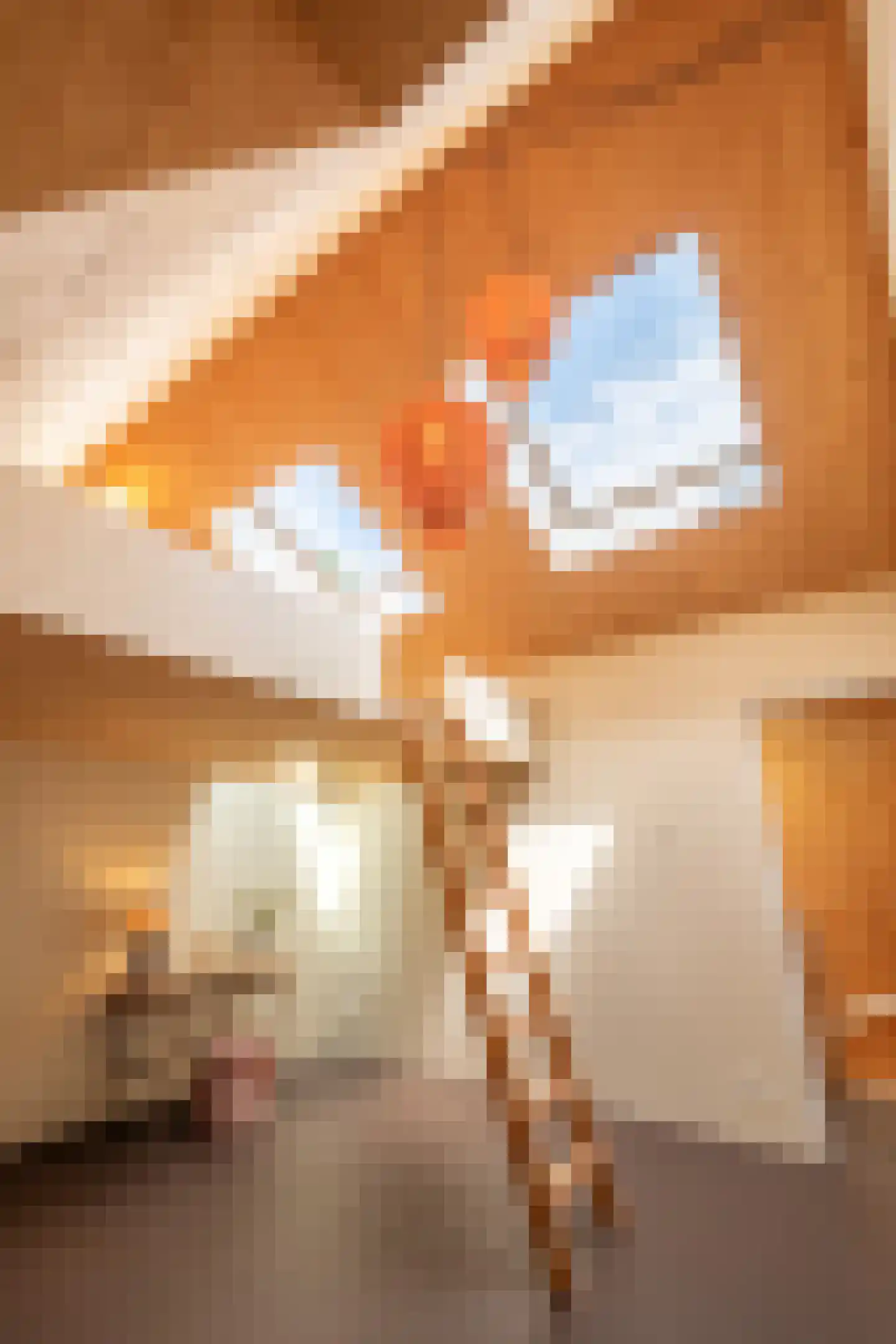 Westerweg 46 Heiloo thumbnail 37