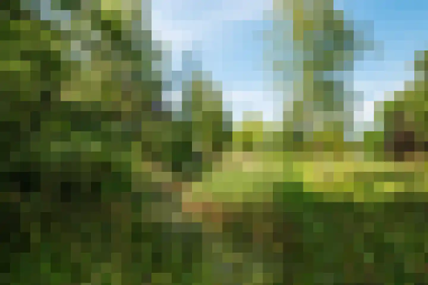 Westerweg 46 Heiloo thumbnail 48