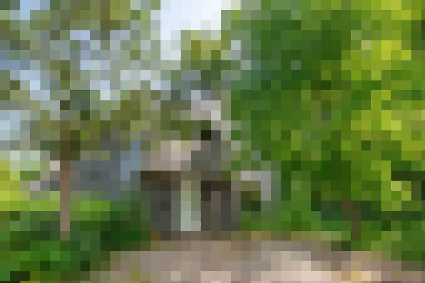 Westerweg 46 Heiloo thumbnail 51