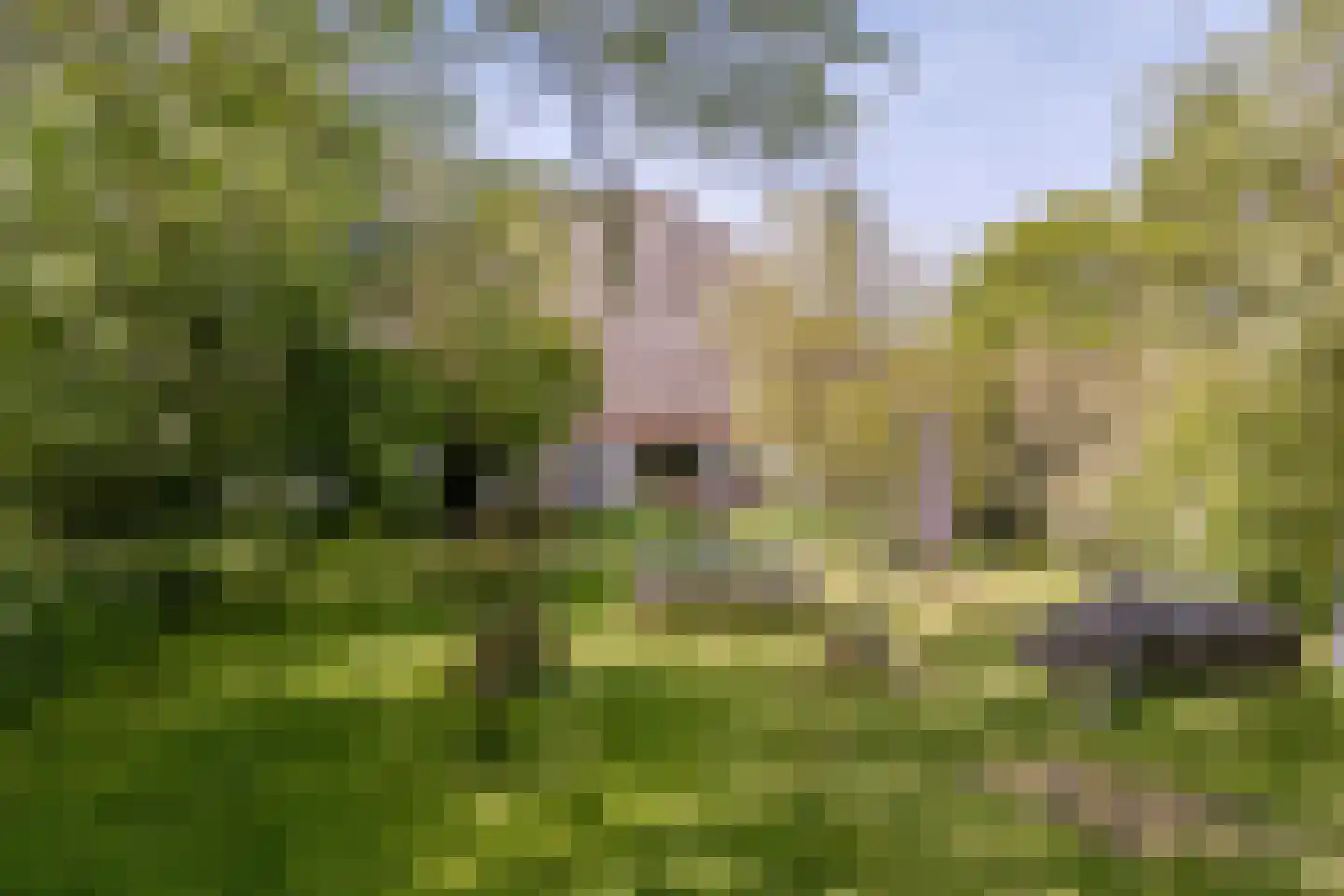Westerweg 47 Den Hoorn thumbnail 11