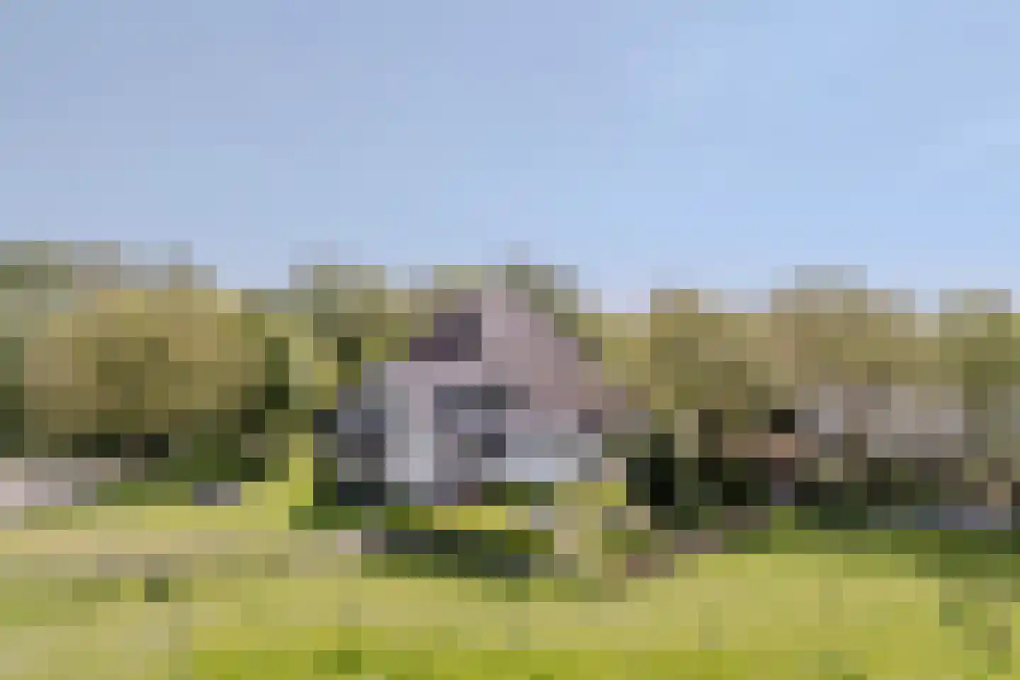 Westerweg 47 Den Hoorn thumbnail 5