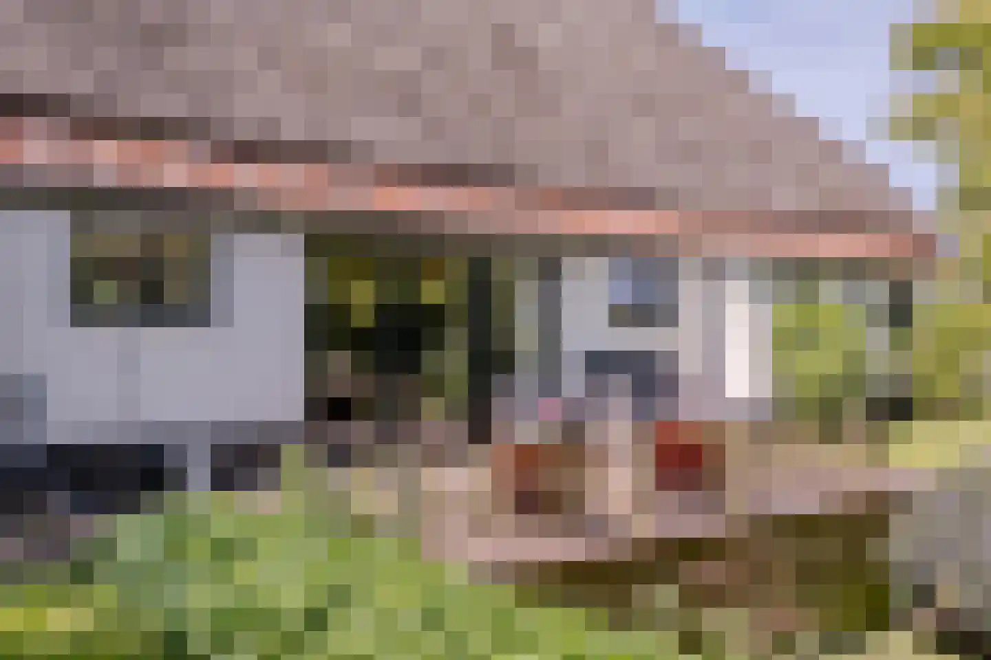 Westerweg 47 Den Hoorn thumbnail 7