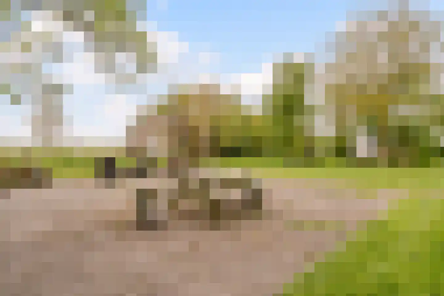 Westerweg 47 Den Hoorn thumbnail 95