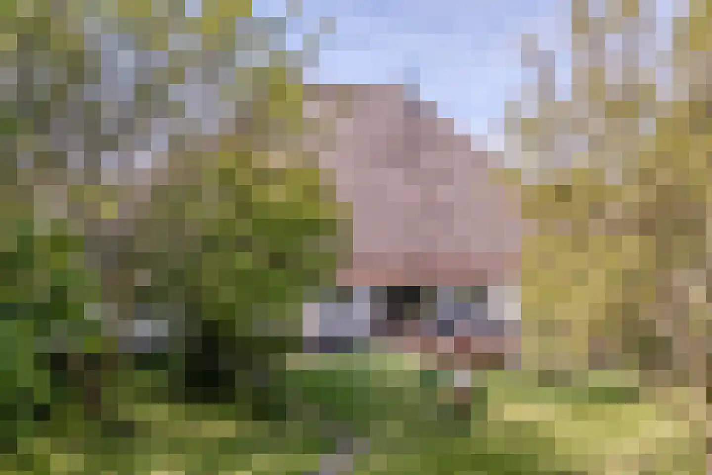 Westerweg 47 Den Hoorn thumbnail 96