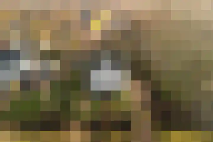 Westerweg 48 Purmerend foto 2